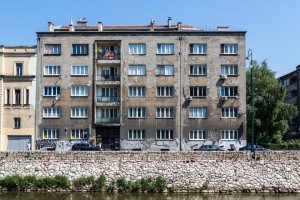 STE_8533