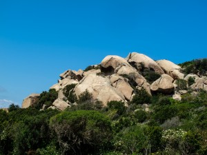 IMG_0308
