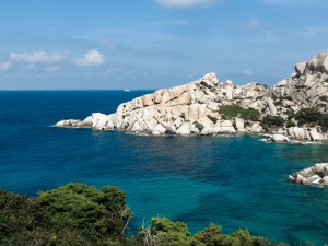 IMG_0338