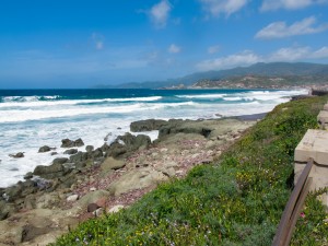 IMG_0463