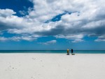 IMG_0539