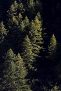 _TE_6120