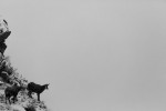 _TE_6680