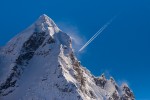 _TE_7004 fauna sul Gran Paradiso