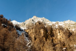 _TE_7248