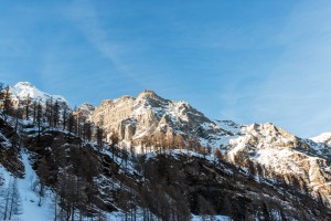 _TE_7279