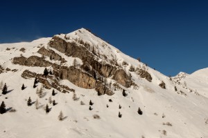 DSCF1190