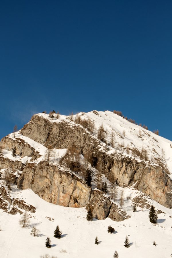 DSCF1196