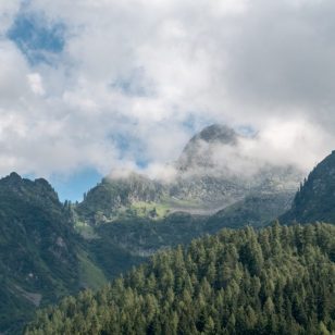 DSCF7202